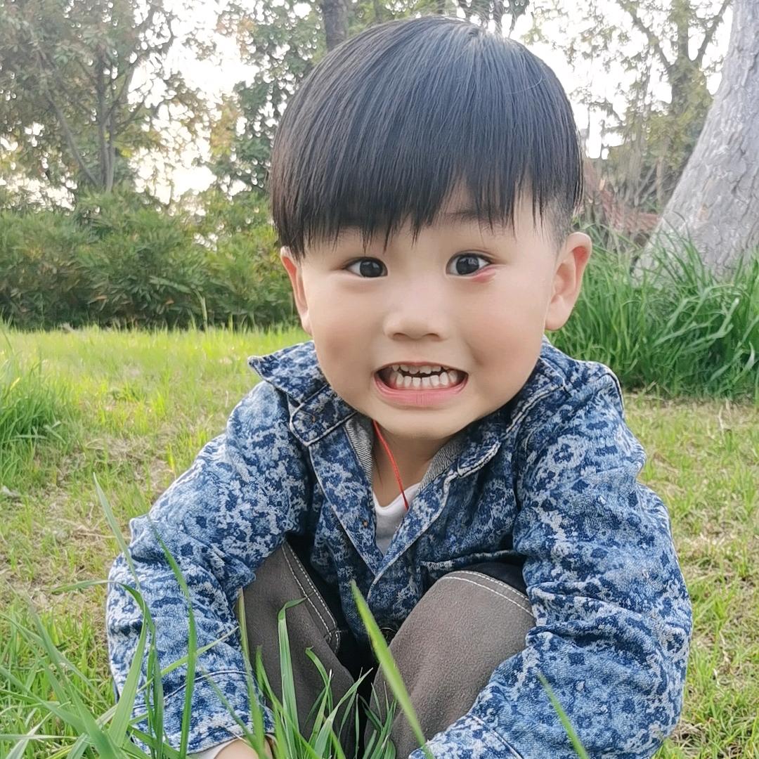 晨旭