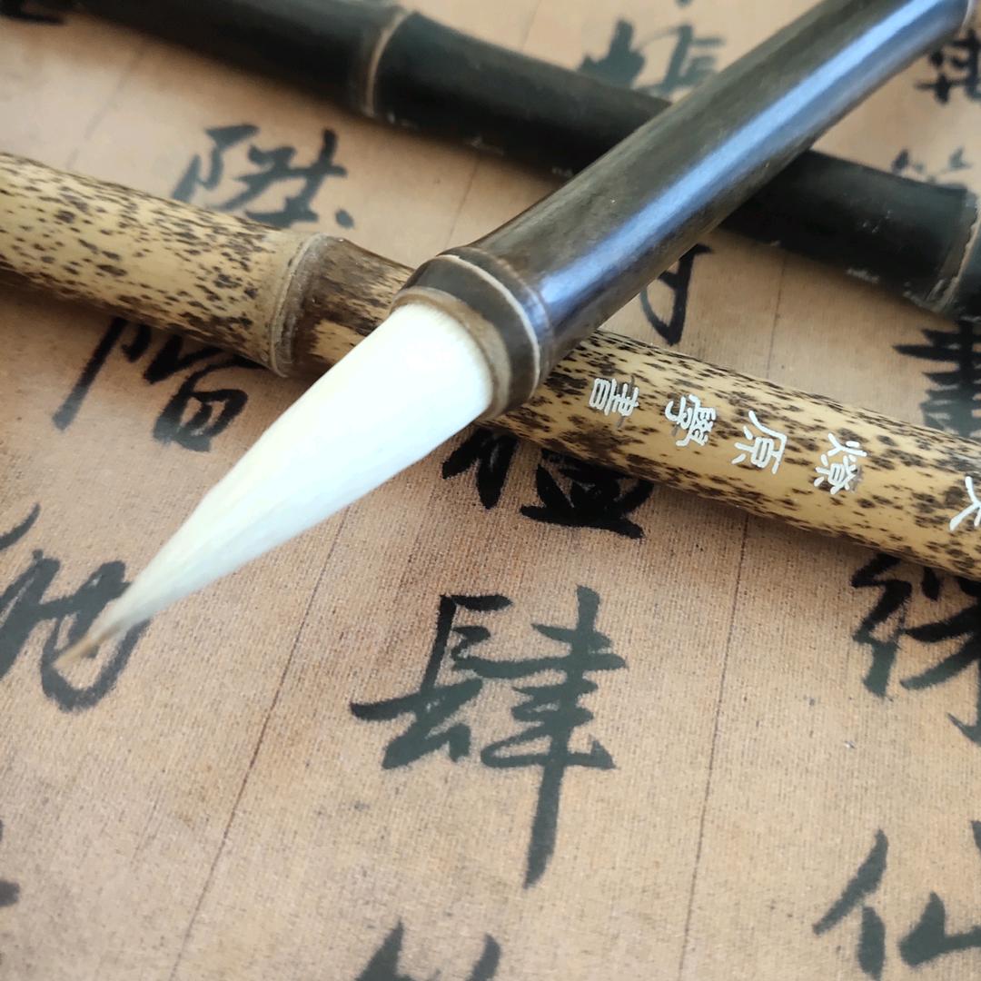 燎原学书