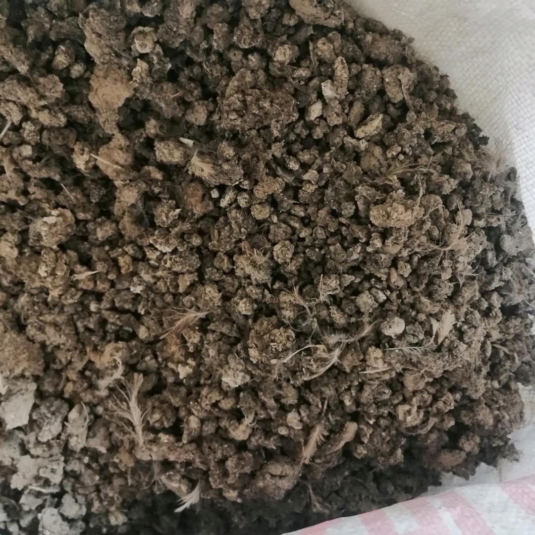 （小周）肥业有限公司