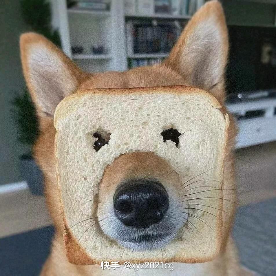 一呀一呀哟