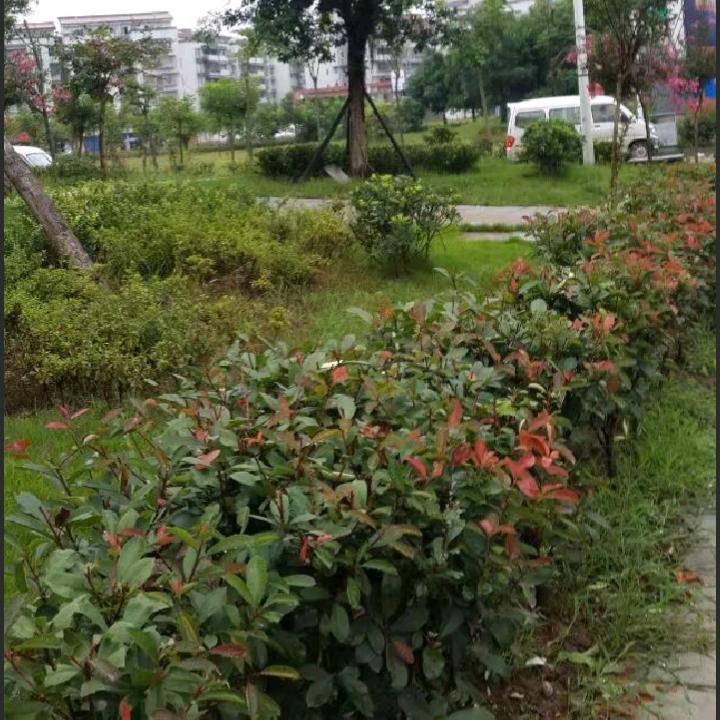在抖音等你