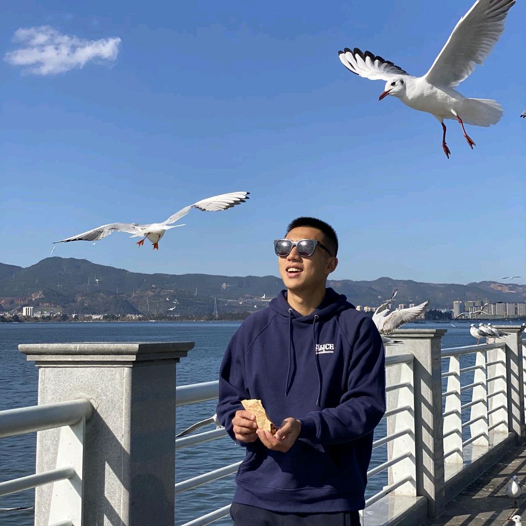 后海大鲨鱼