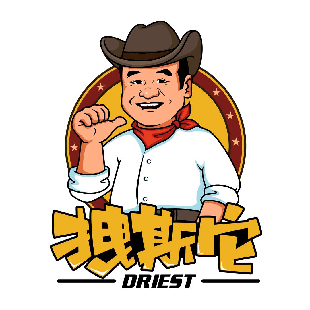 DRIEST拽斯它零食旗舰店