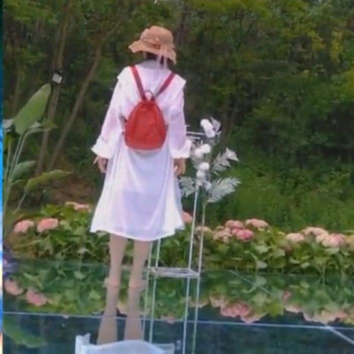 梦蝶之云