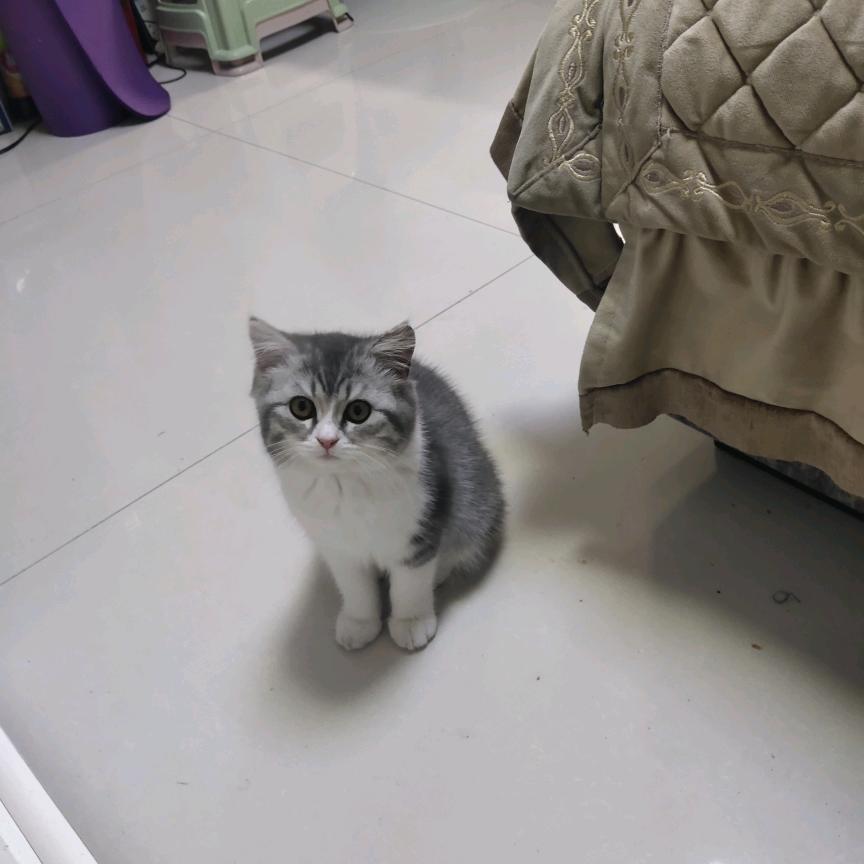 中间