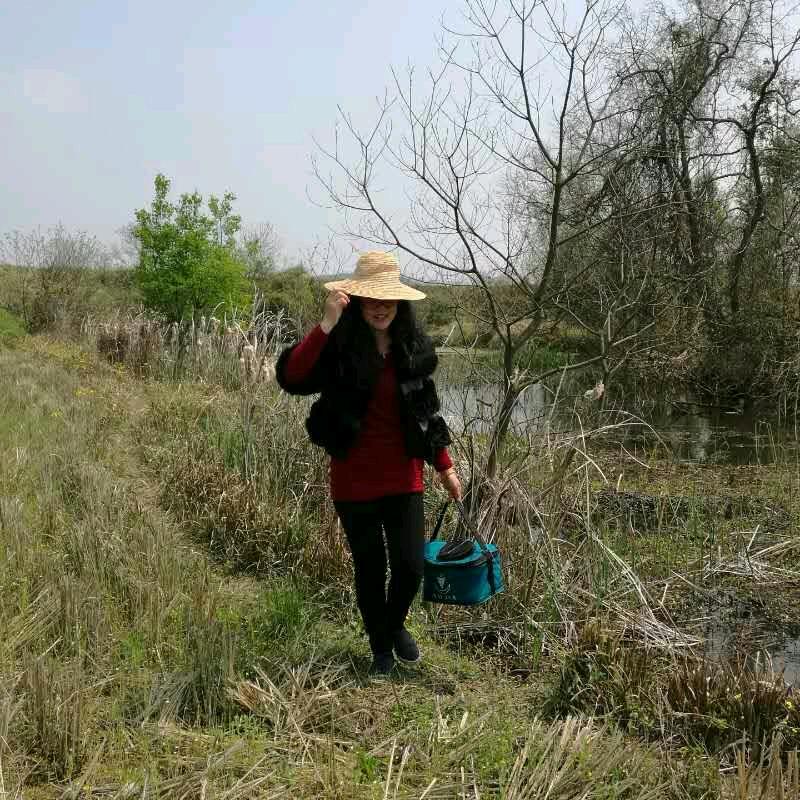 简单就好