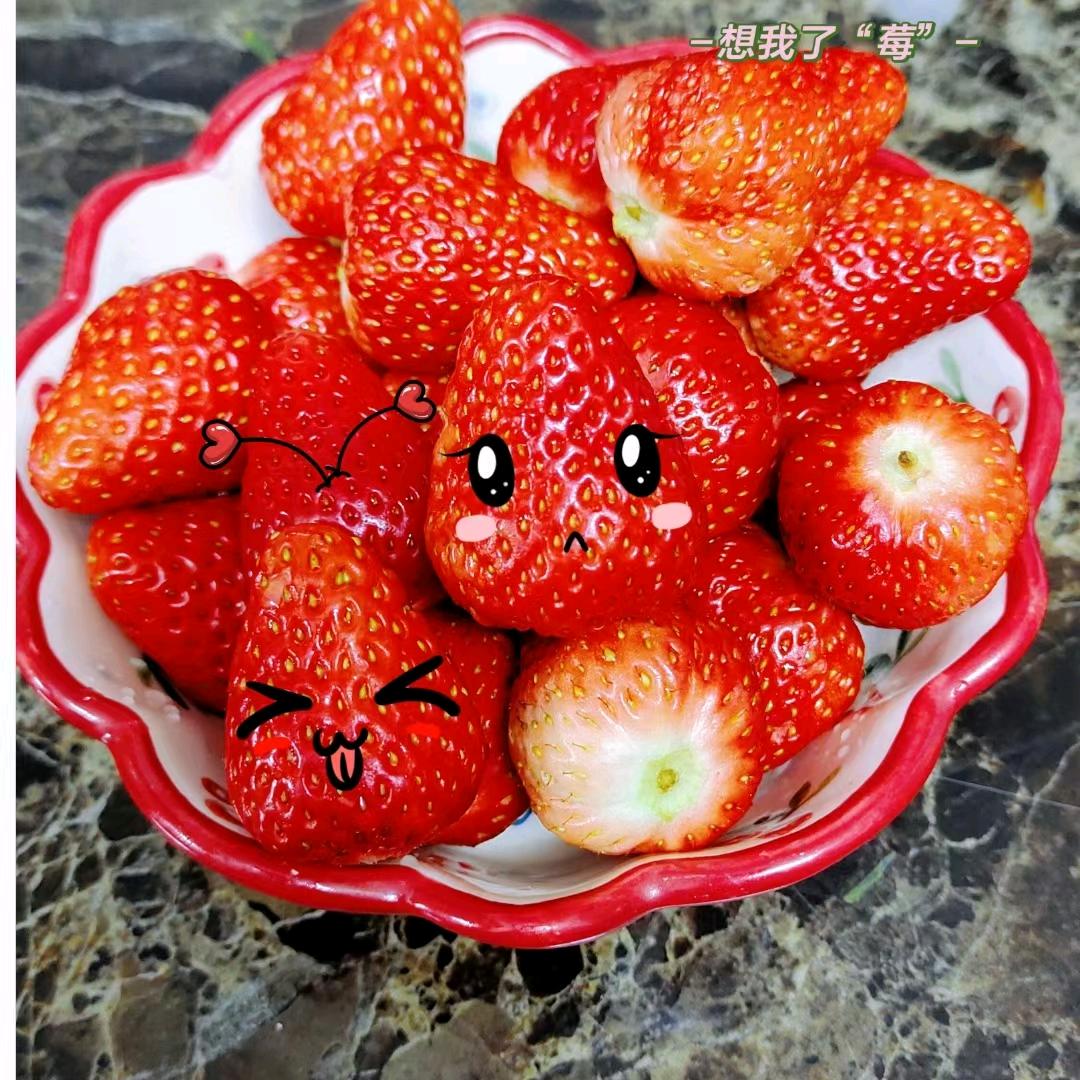 宁熙生态