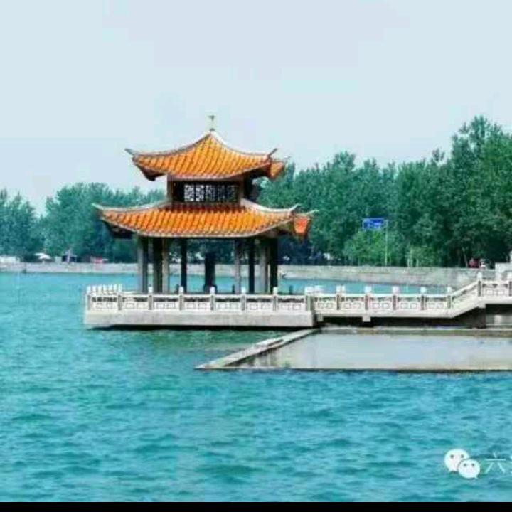 温柔宠尽你