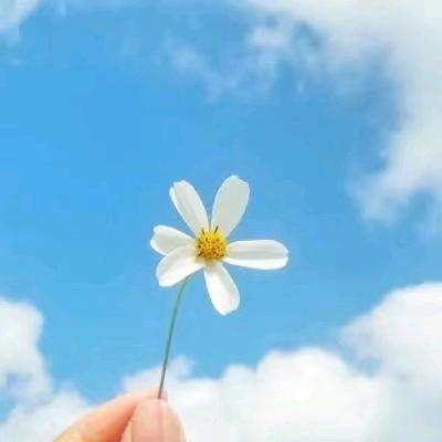 花姨🌸
