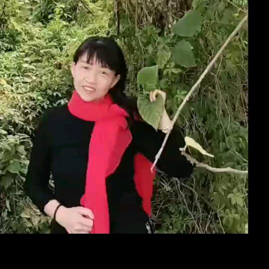 林希姐