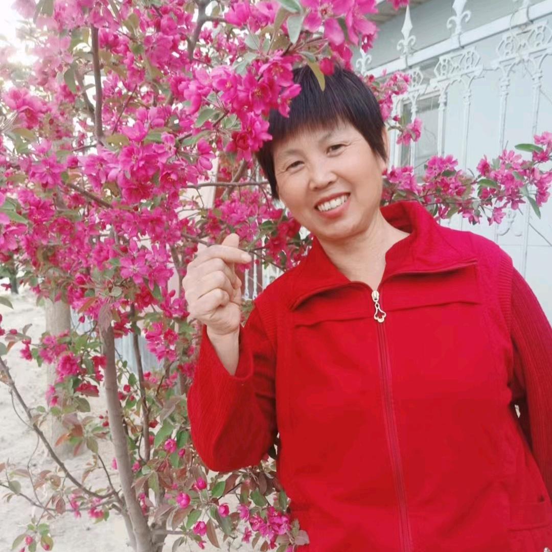 柿柿如意