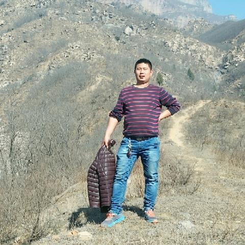 光 头哥哥