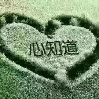 浅笑轻颜