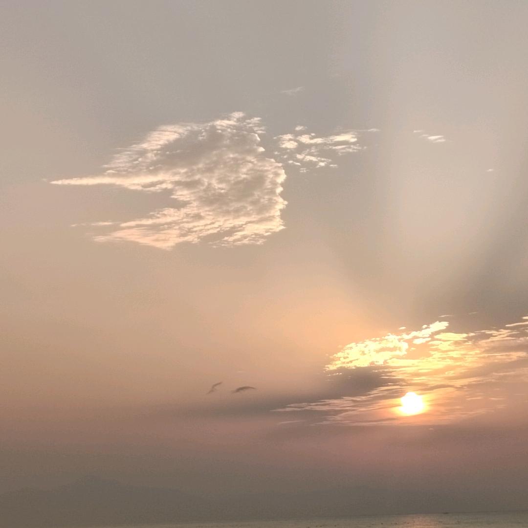 💕᭄ꦿ深情ོ࿆不及久伴᭄🕊