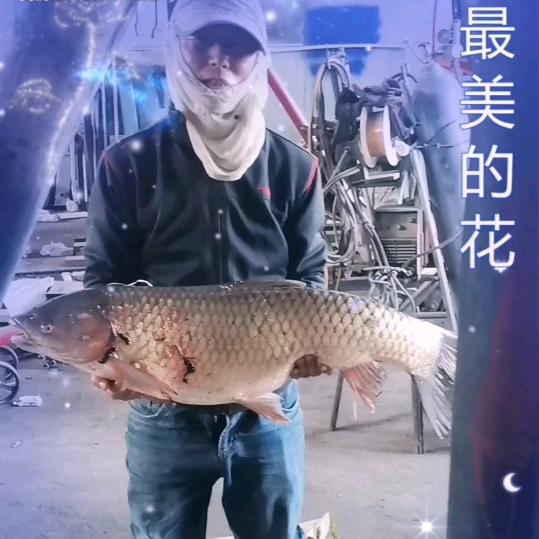 程二哥
