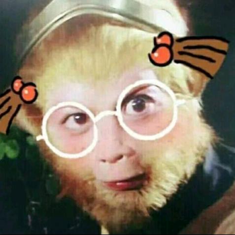 云南小殿下@抖音