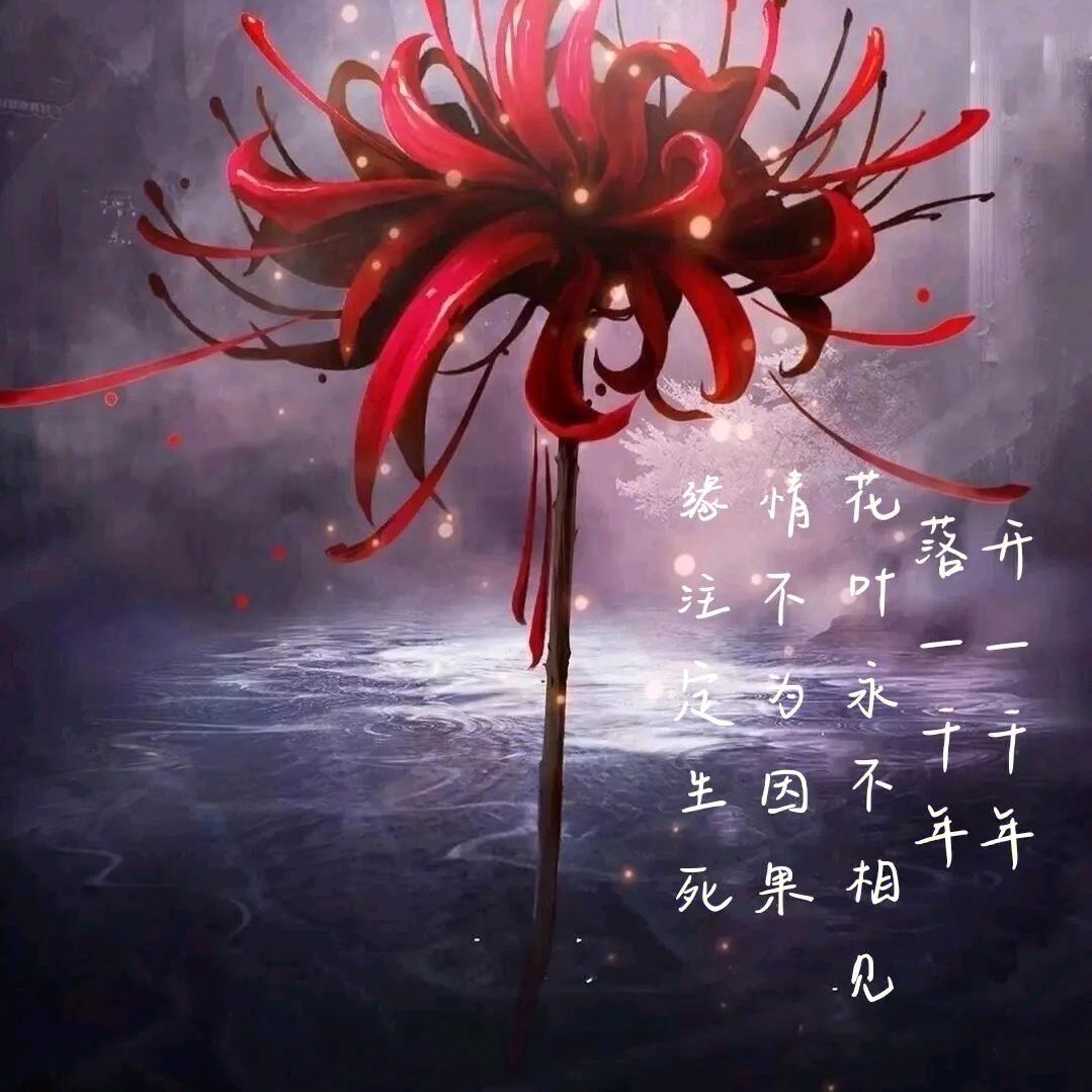 兮兮