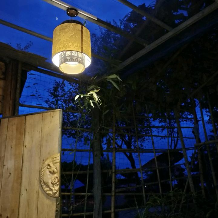安然若素