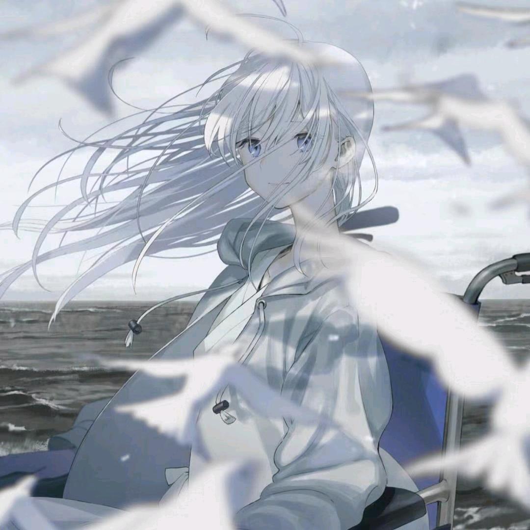 sky小晚