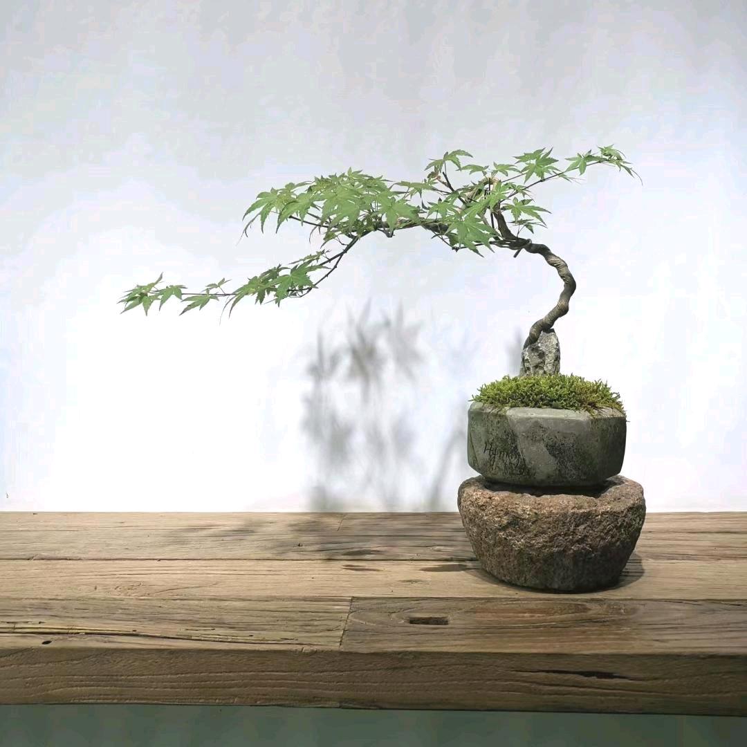 净水哥  净水器维修 更换滤芯以旧换新