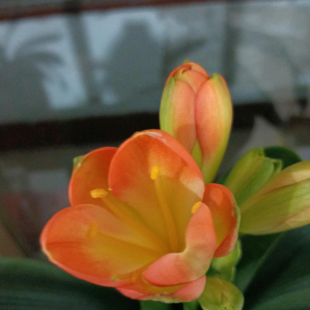 懂