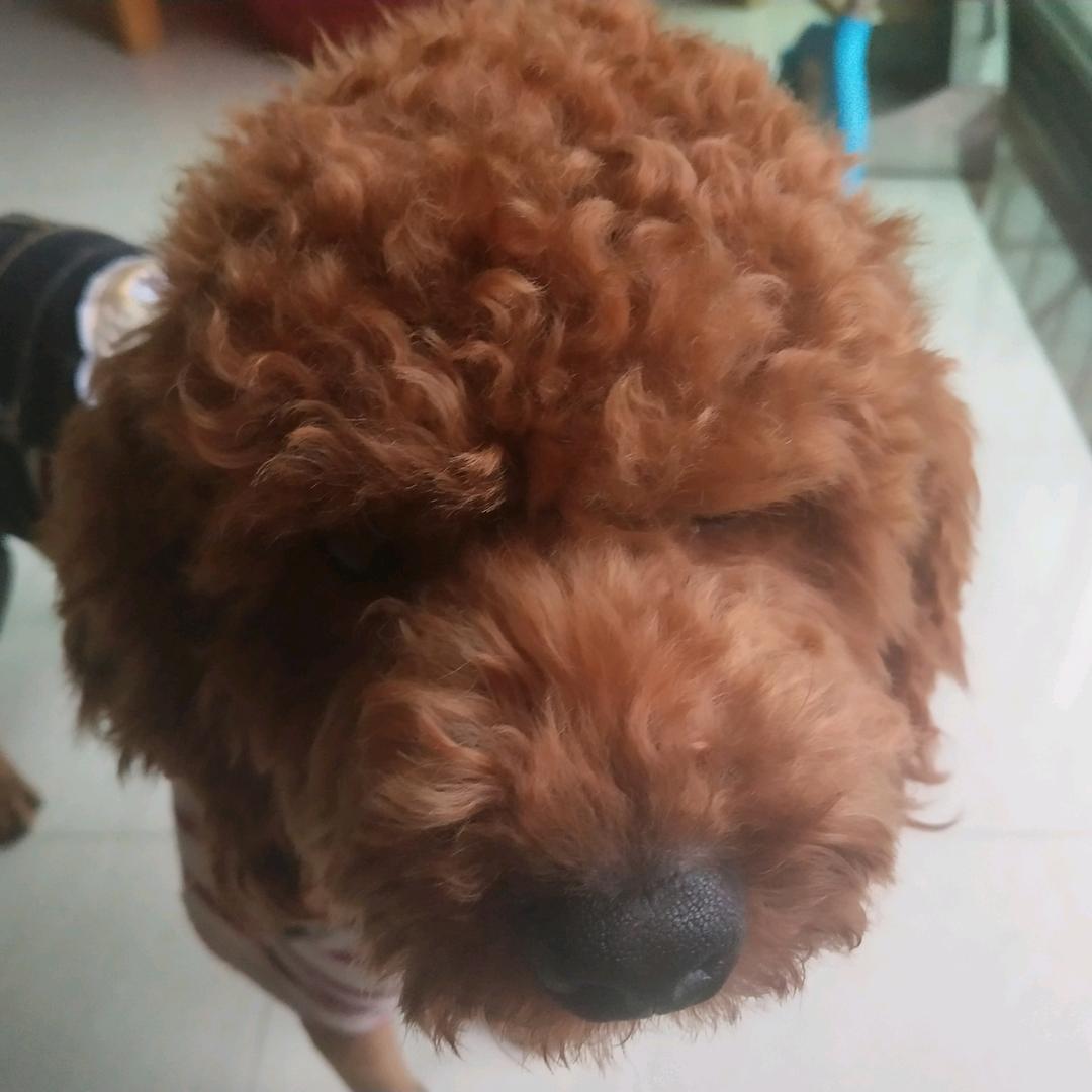 探险小宝