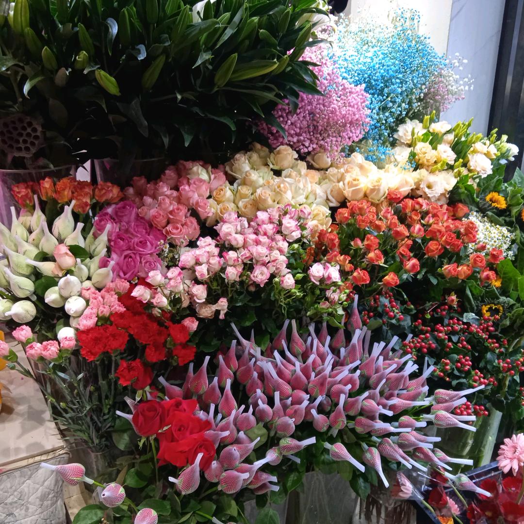 鲜花绿植店