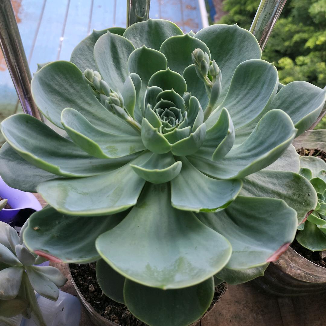 皆是明白人.安做陌生人