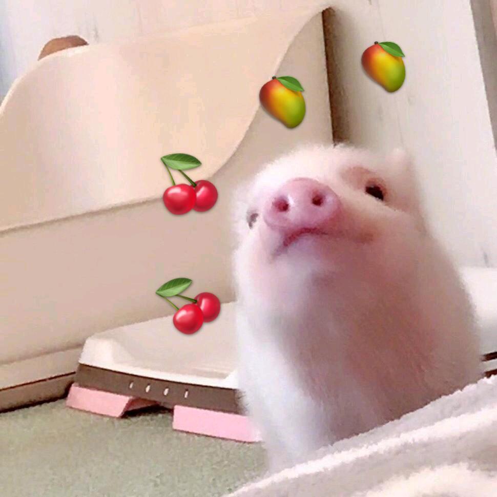 李大锤锤