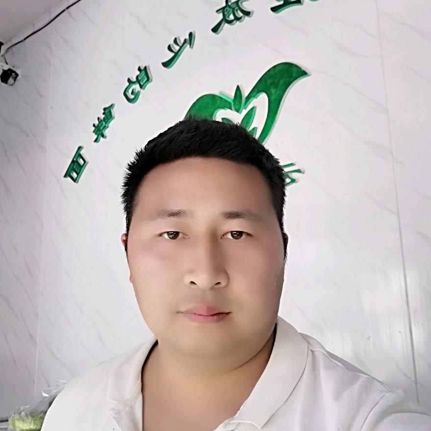 不爱我别伤害我