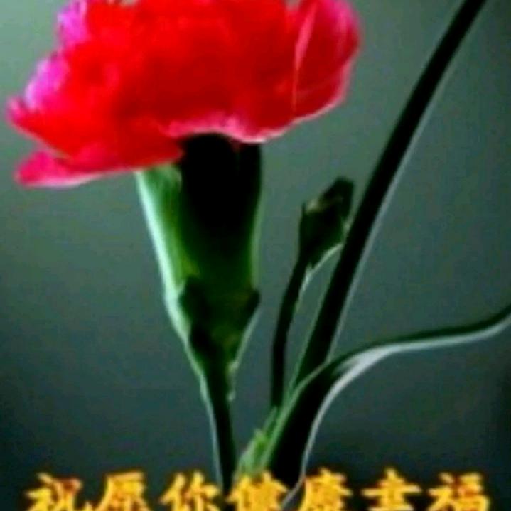 风沙