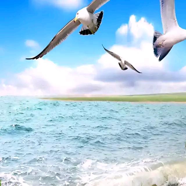 💫余生🔥随💞心