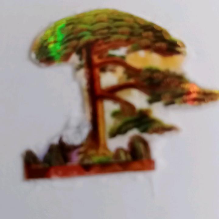 陈子强