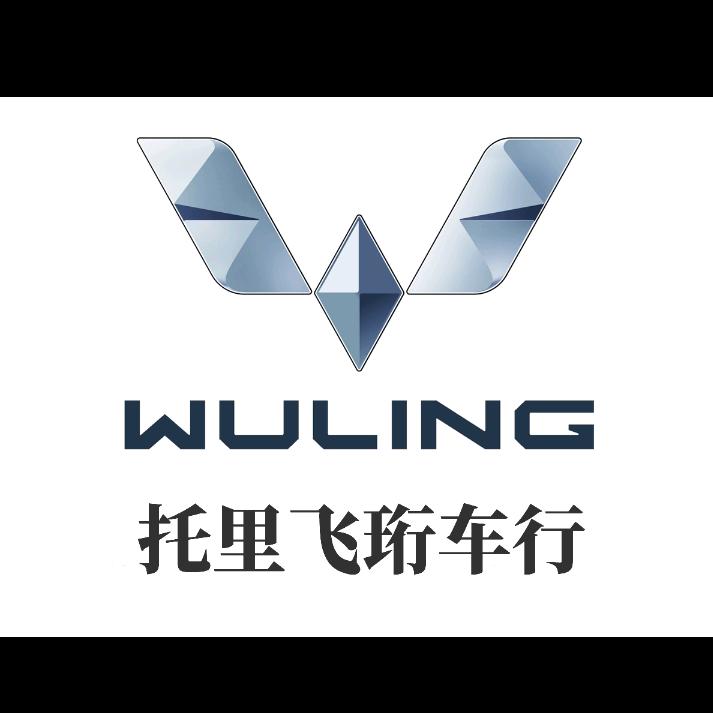 托里飞珩五菱汽车展厅