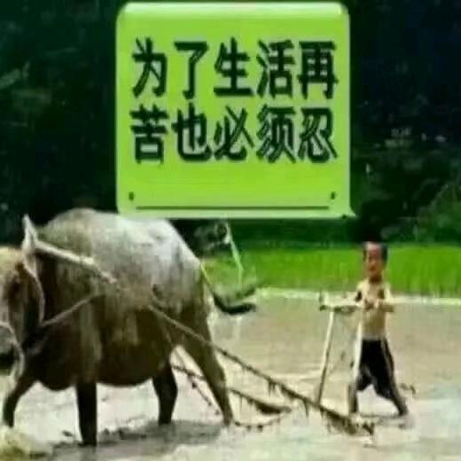 祥-哥