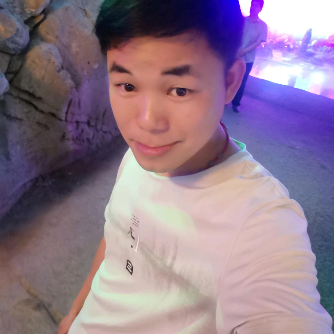 木鸭