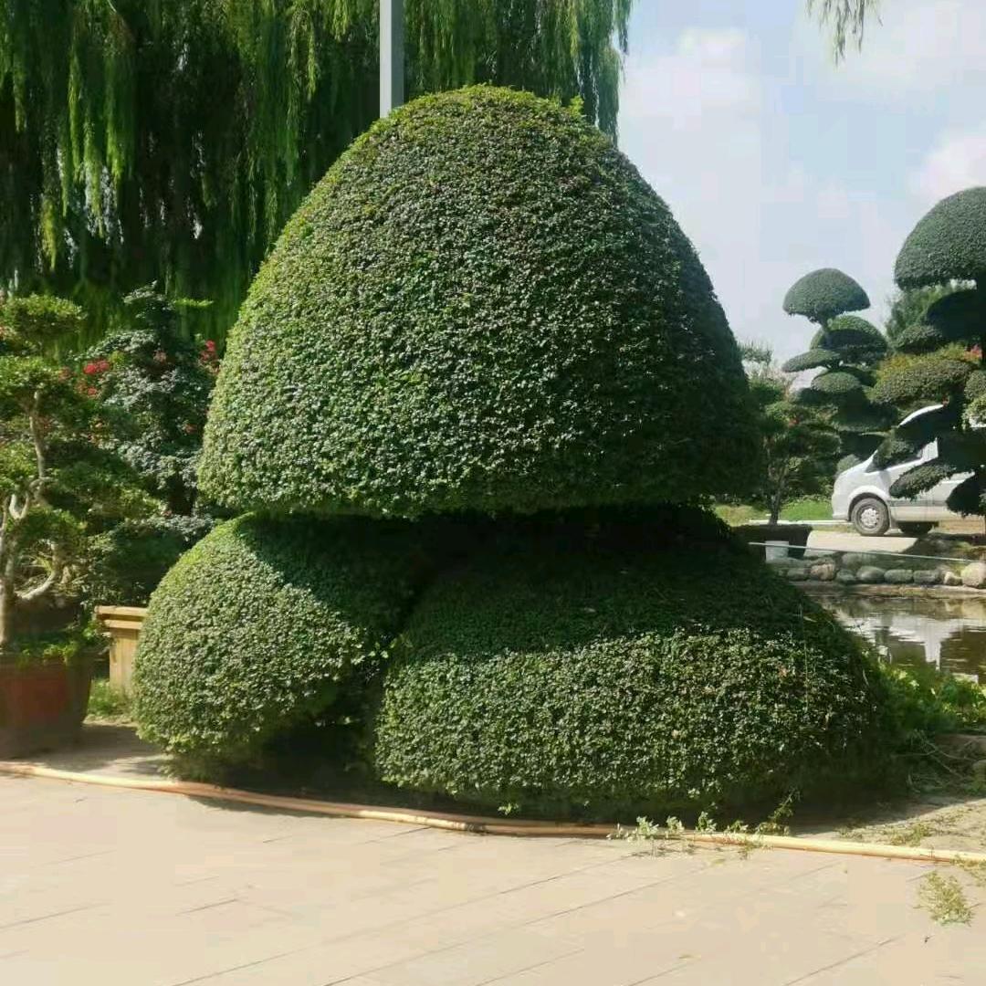 《中国煜涵园林网》