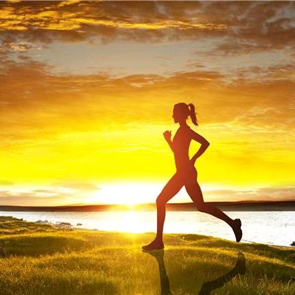 闪瘦减脂训练营（萍姐）