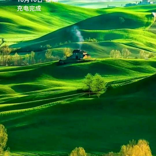 🌈我行我素