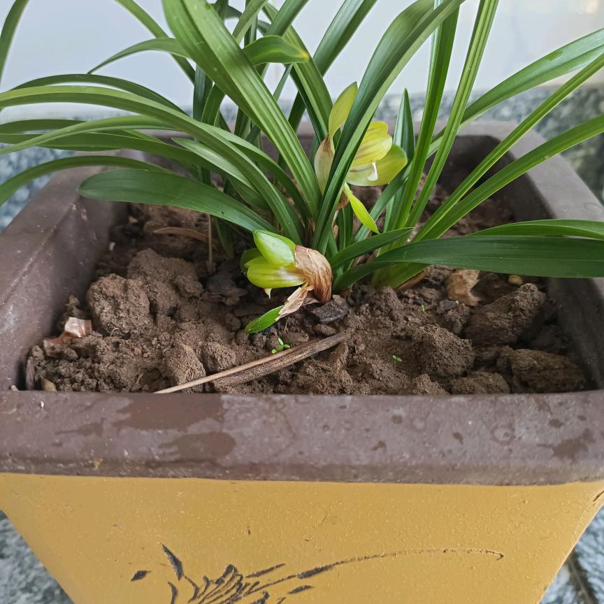 假如有如果