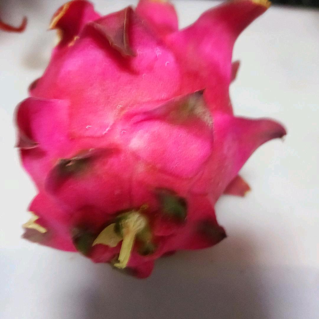 顺藤摸瓜
