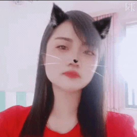 樱花扉舞