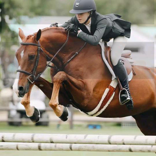 王者荣耀体验服