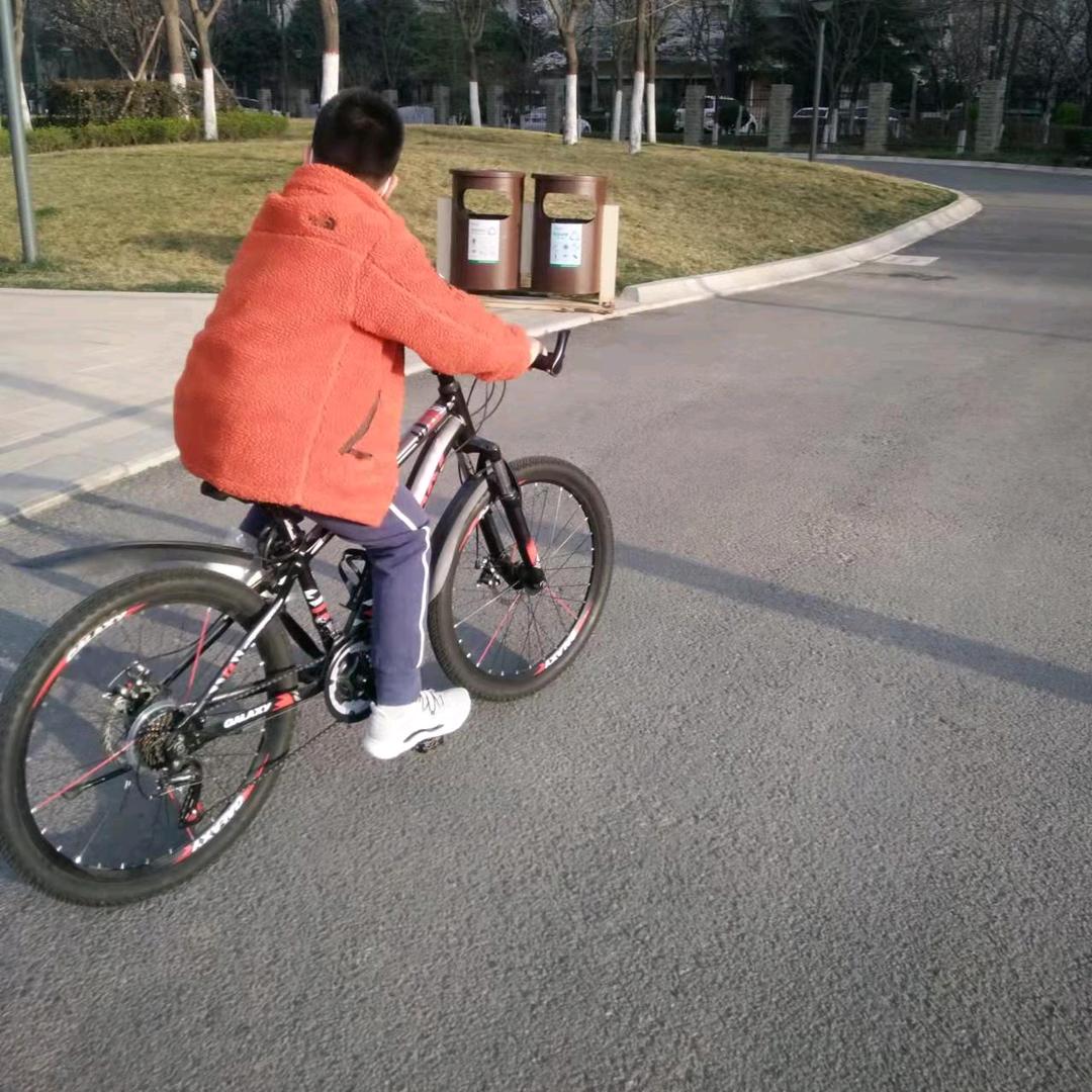 自由风