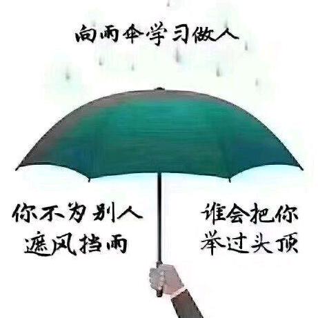 文竹