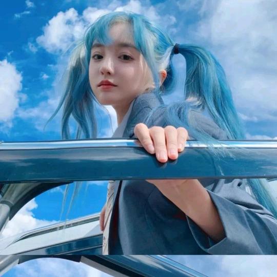 篮桉