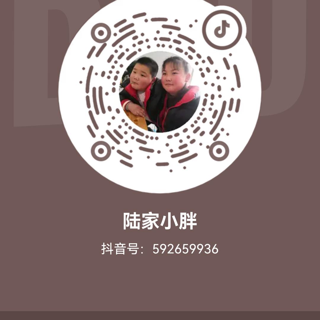 陆家小胖