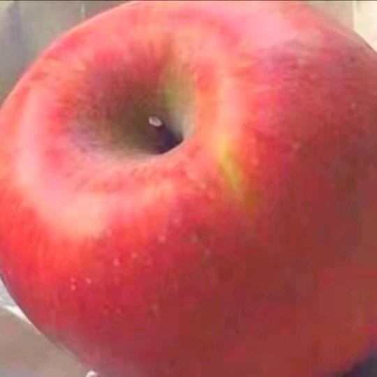 粥粥粥粥