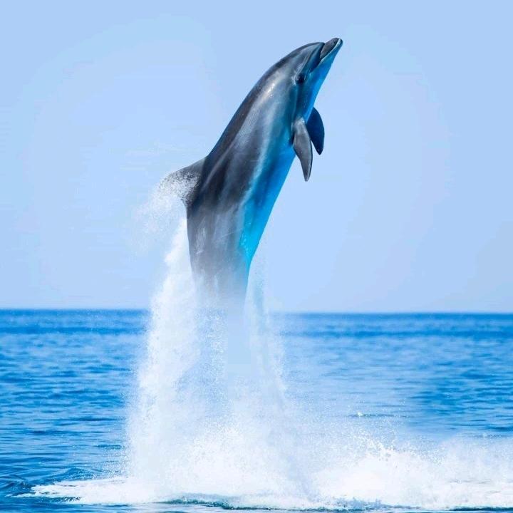 ✌耶✌