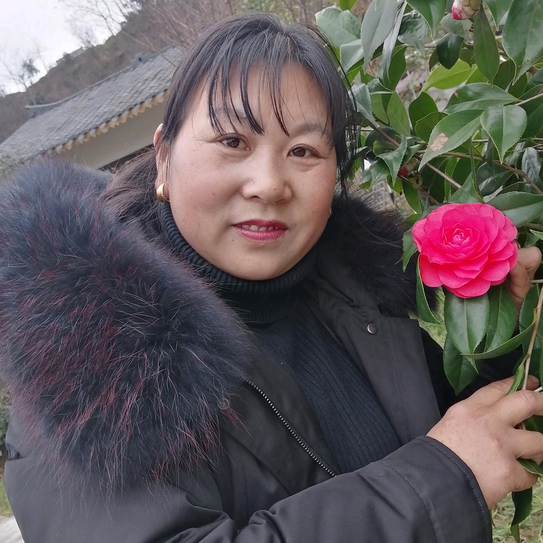 湖北来凤向敏盆景园